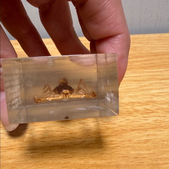 Scorpion Paperweight 🦂 - Picture 8 of 15